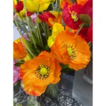 Мак польовий 3 голови 58 см, помаранчевий, тканина