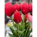 Тюльпани (букет), 5шт., червоний 40 см, латекс
